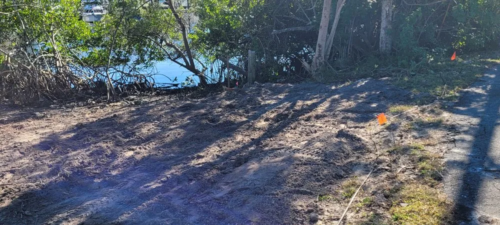 Top-rated yard maintenance in Tampa, FL by Pats Sod Service