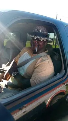 Pat's Tree and Lawn Care Service Logo