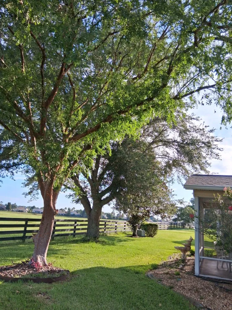 Local lawn mowing service with custom design in Belleview, FL by Pats Tree