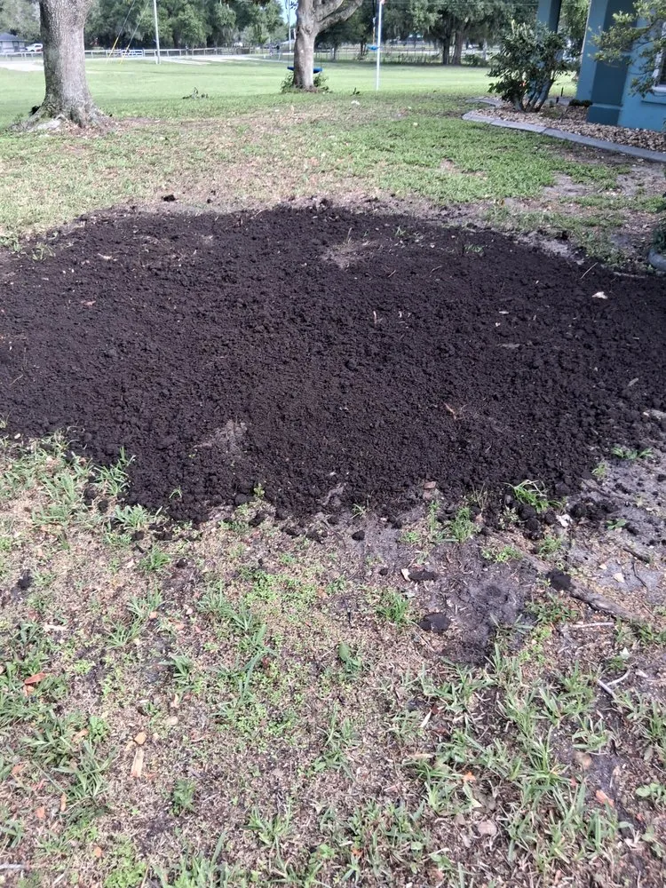 Reliable landscaping services near you in Belleview, FL by Pats Tree