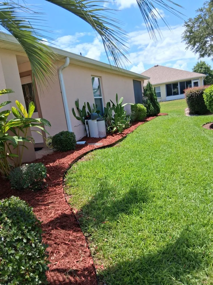 Affordable lawn care service for year-round maintenance across Belleview, FL - Pats Tree