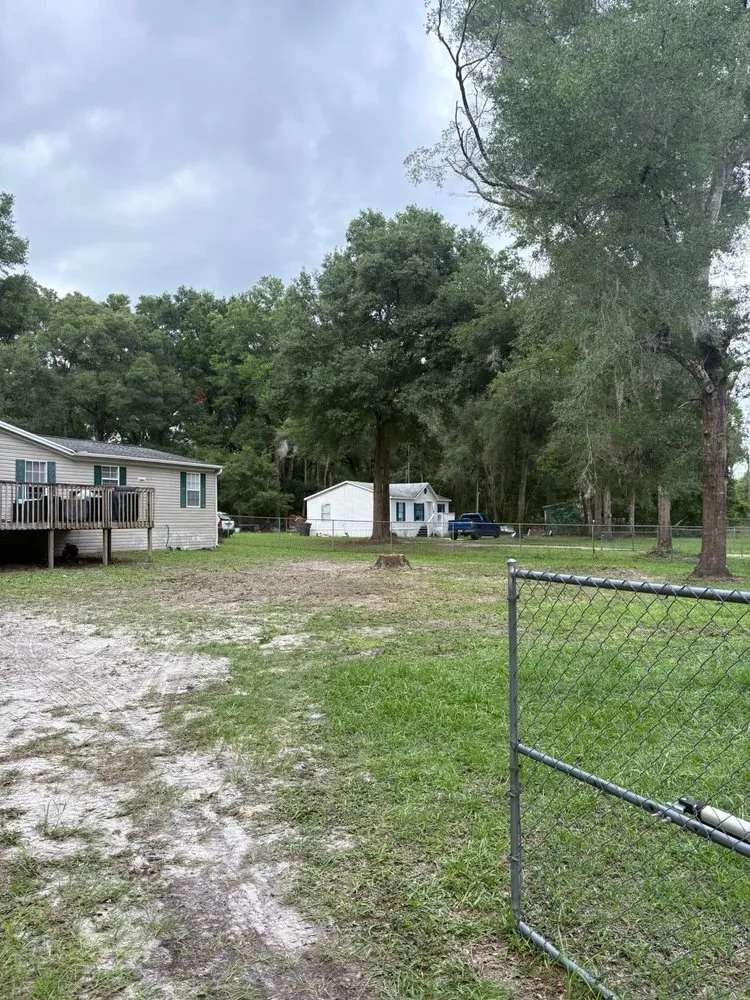 Local landscape design experts serving Belleview, FL - Pats Tree