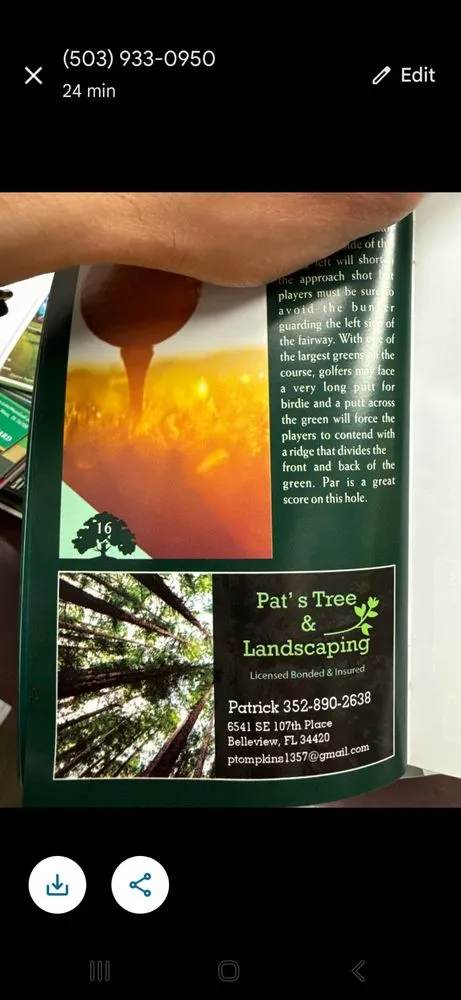 Trusted lawn mowing service in Belleview, FL by Pats Tree