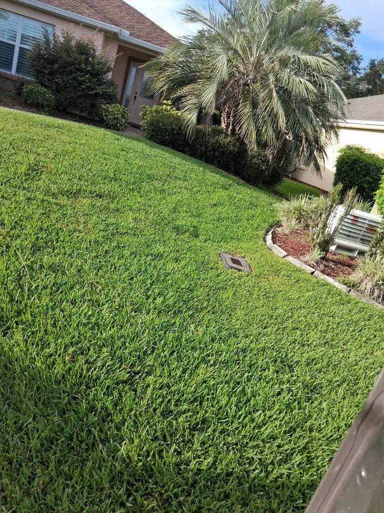 Affordable yard maintenance in Belleview, FL - Pats Tree