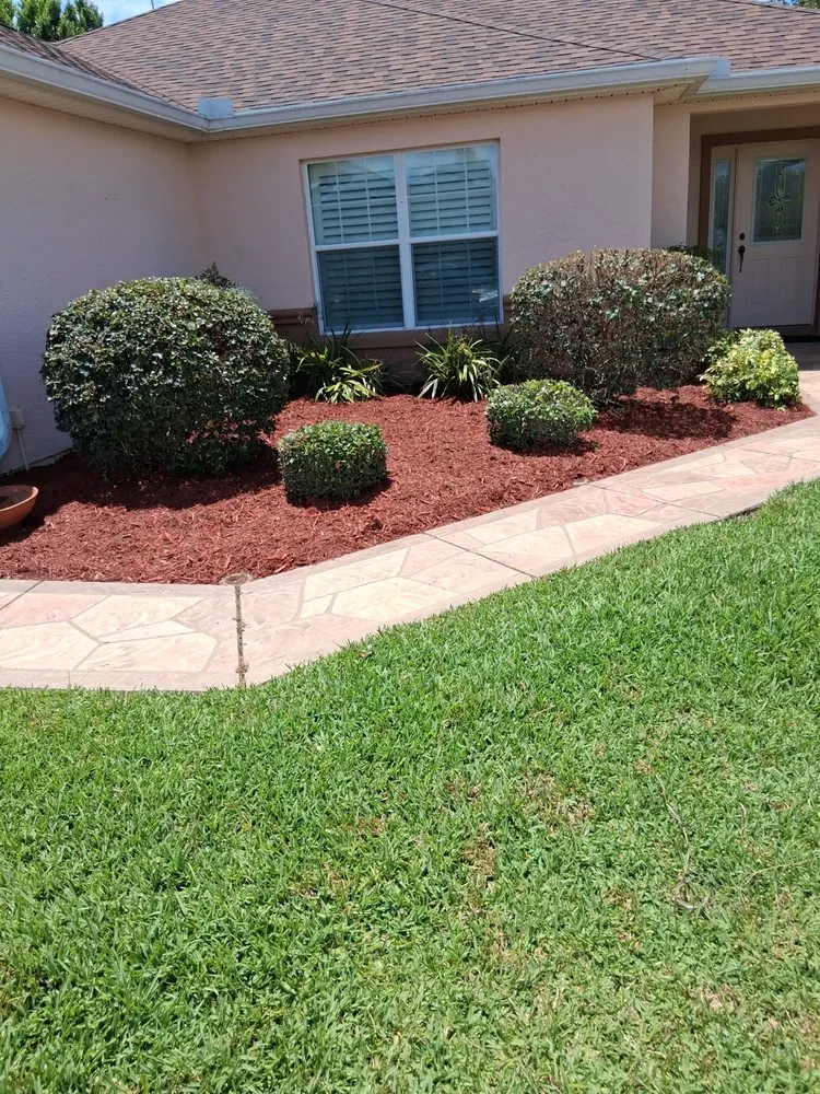 Affordable residential landscaping for residential properties across Belleview, FL - Pats Tree