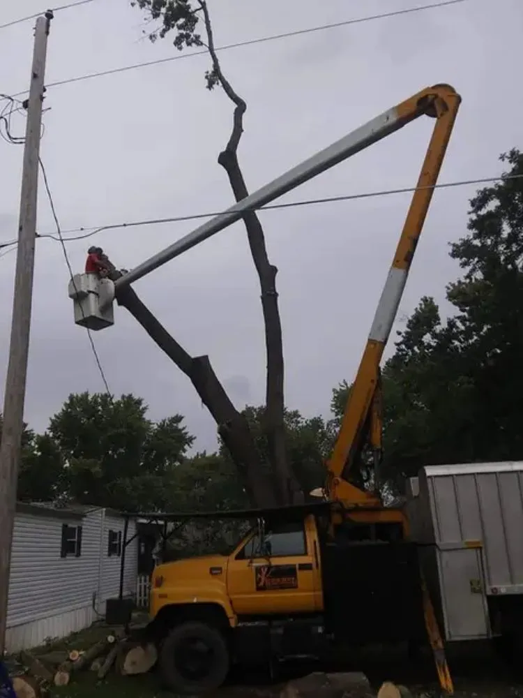 Professional outdoor landscaping in Belle Plaine, IA by Pattengale's Tree Service and Landscaping