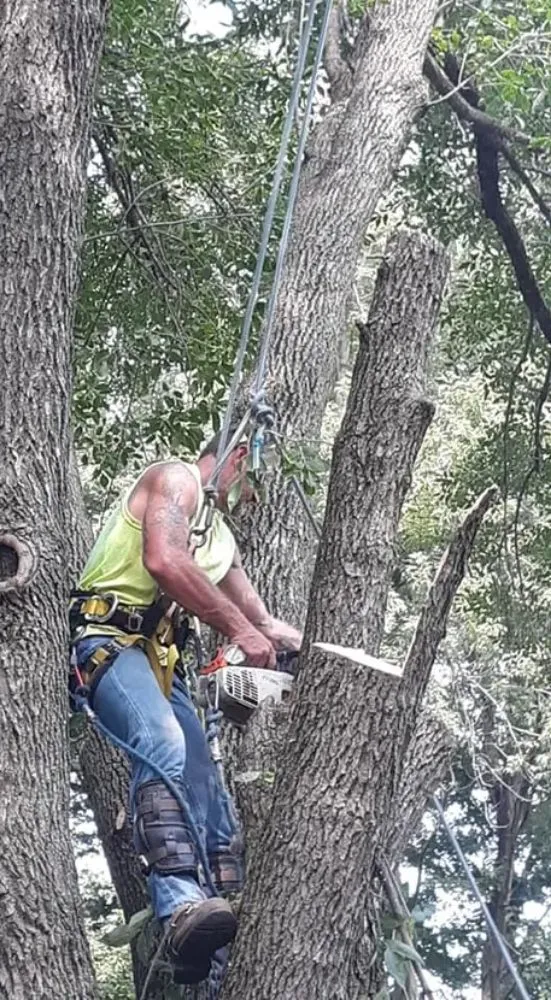 Affordable garden landscaping for year-round maintenance in Belle Plaine, IA by Pattengale's Tree Service and Landscaping