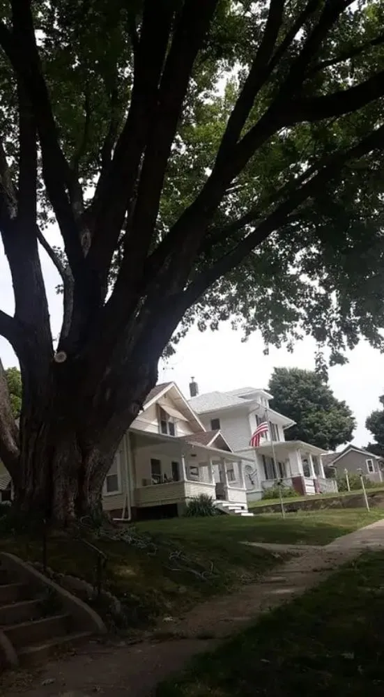 Affordable lawn care service in Belle Plaine, IA - Pattengale's Tree Service and Landscaping