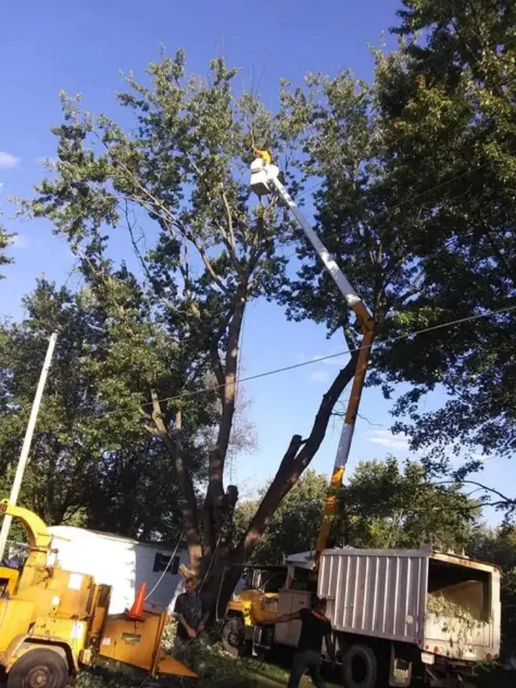 Professional residential landscaping for beautiful yards in Belle Plaine, IA by Pattengale's Tree Service and Landscaping