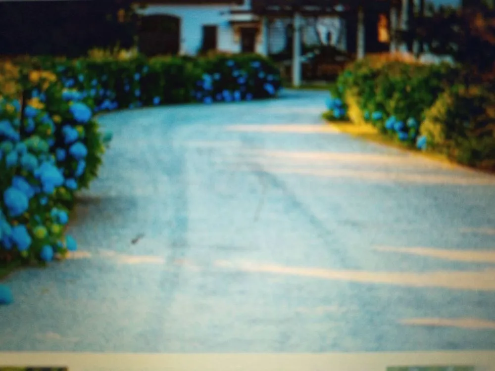 Reliable landscape installation in Dahlonega, GA by Patterson Grading &Landscaping