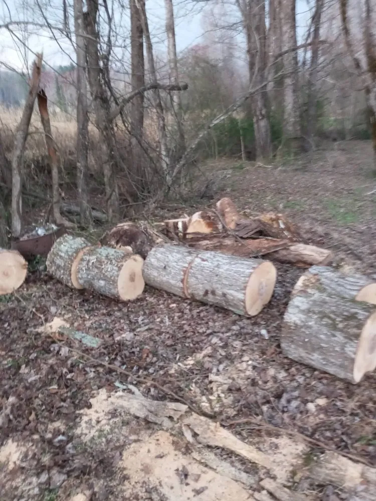 Reliable landscape installation in Dahlonega, GA by Patterson Grading &Landscaping