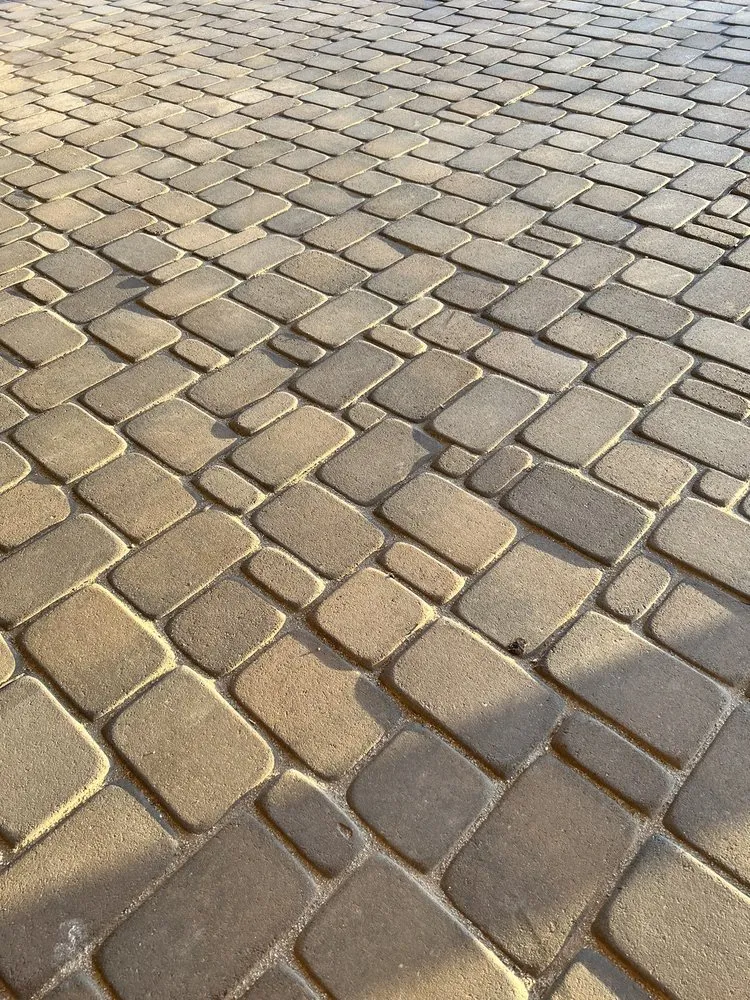 Affordable landscaping services in Scottsdale, AZ by Patterson Homes