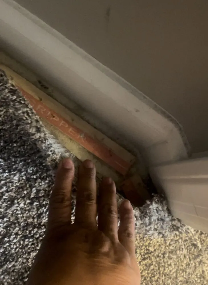 Reliable outdoor landscaping for residential properties in Scottsdale, AZ by Patterson Homes