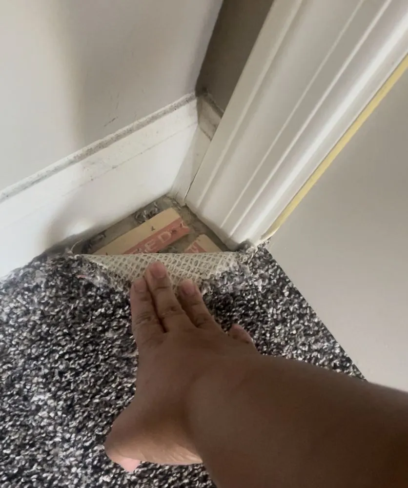 Trusted lawn care service in Scottsdale, AZ - Patterson Homes