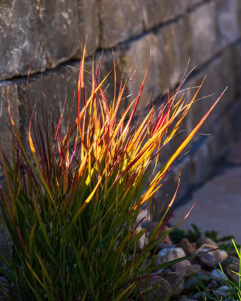 Expert garden landscaping for beautiful yards in Colorado Springs, CO by Patterson Landscapes