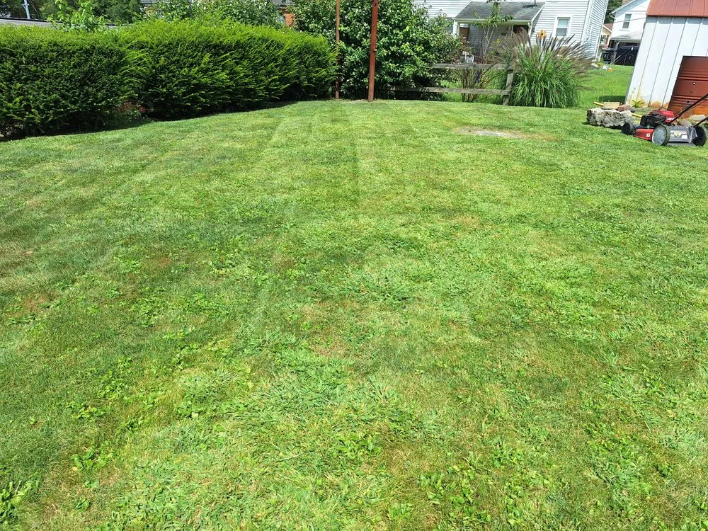 Trusted outdoor landscaping with custom design across Wampum, PA - Patterson Landscaping and Property Management