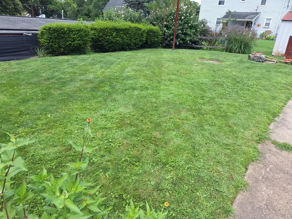 Custom landscaping services experts serving Wampum, PA - Patterson Landscaping and Property Management