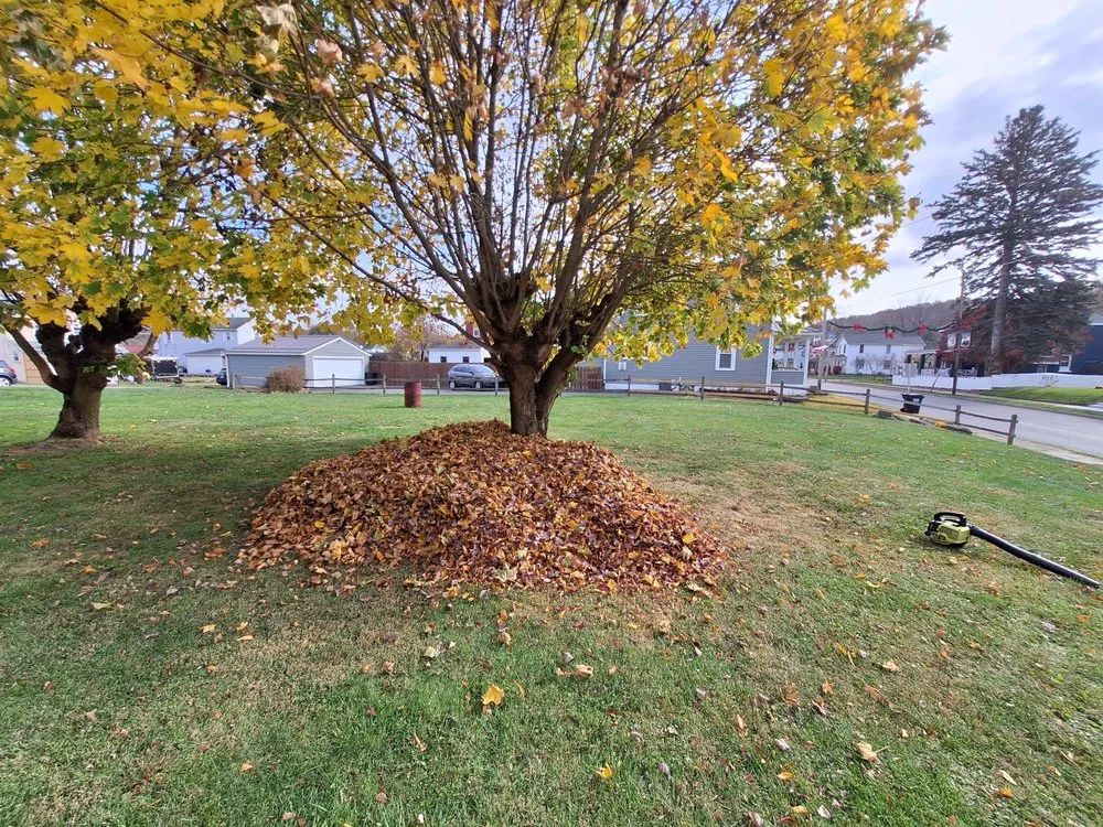 Local residential landscaping in Wampum, PA by Patterson Landscaping and Property Management