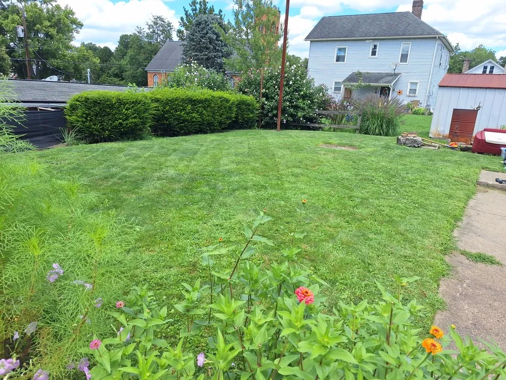 Reliable landscape installation experts serving Wampum, PA - Patterson Landscaping and Property Management