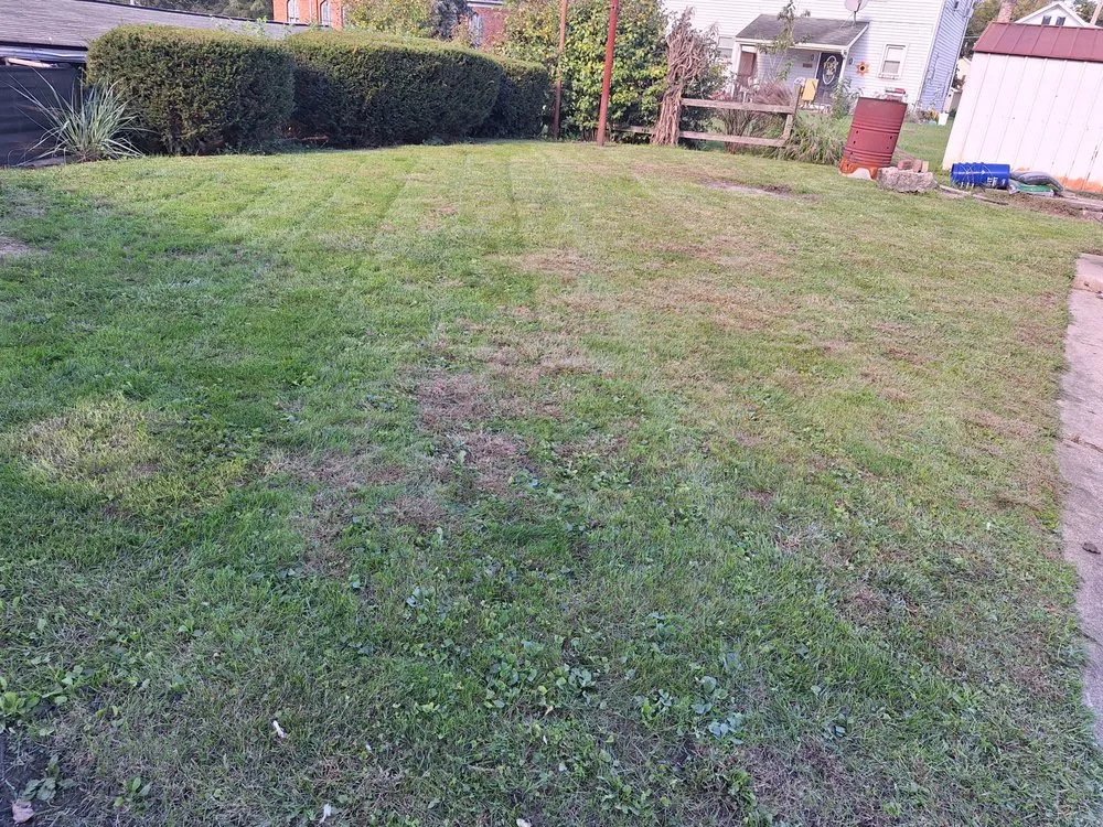 Custom landscape installation near you in Wampum, PA by Patterson Landscaping and Property Management