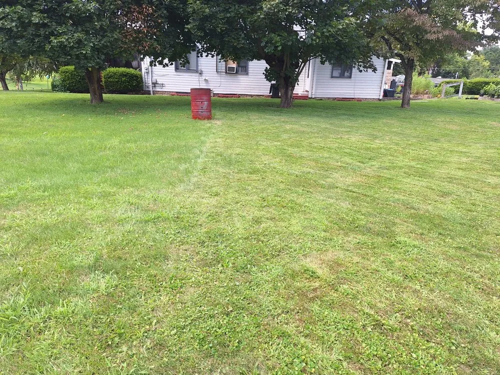 Expert yard maintenance in Wampum, PA - Patterson Landscaping and Property Management
