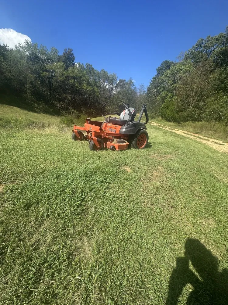 Expert yard cleanup service experts serving Strawberry Plains, TN - Patterson Lawn & Landscape