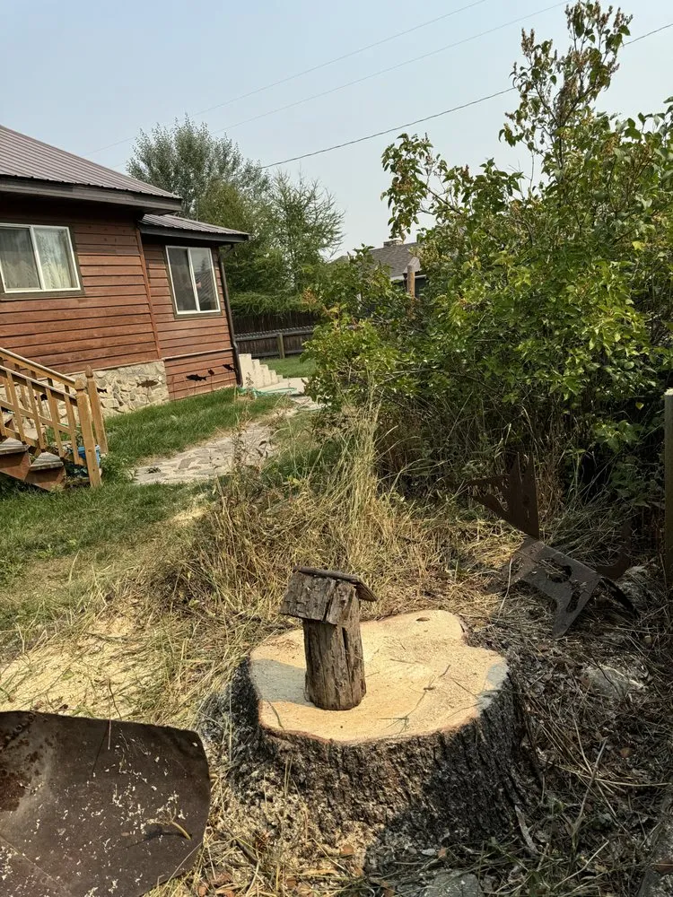 Top-rated landscape design in Dillon, MT by Patterson Lawn & Tree Services