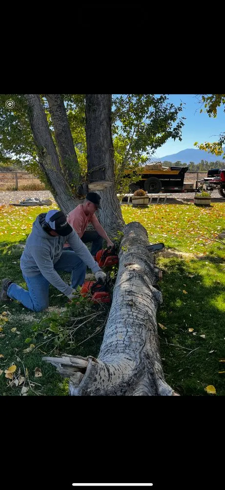 Trusted outdoor landscaping in Dillon, MT by Patterson Lawn & Tree Services