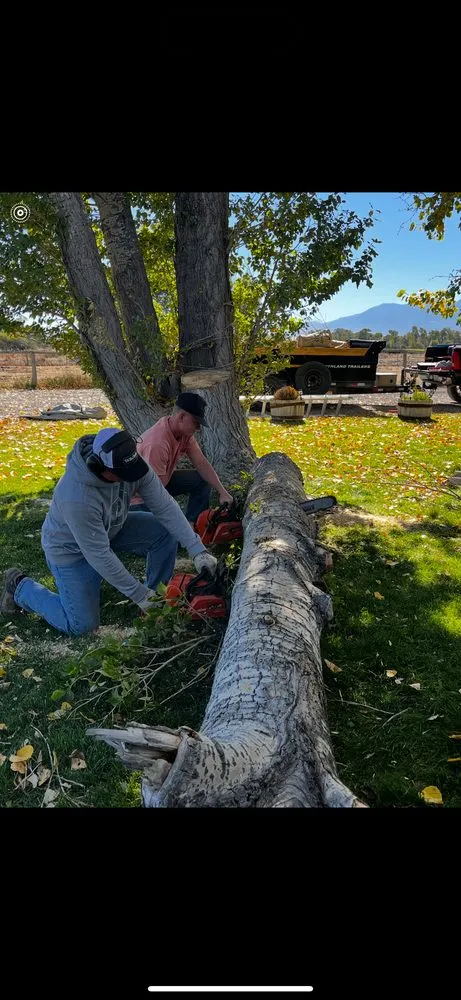 Custom landscaping services in Dillon, MT - Patterson Lawn & Tree Services