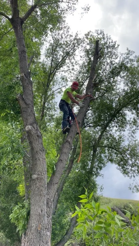 Top-rated outdoor landscaping in Dillon, MT - Patterson Lawn & Tree Services