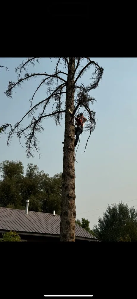 Trusted garden landscaping experts serving Dillon, MT - Patterson Lawn & Tree Services