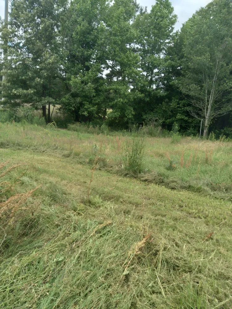 Trusted yard cleanup service in Hensley, AR by Patterson Lawn Care