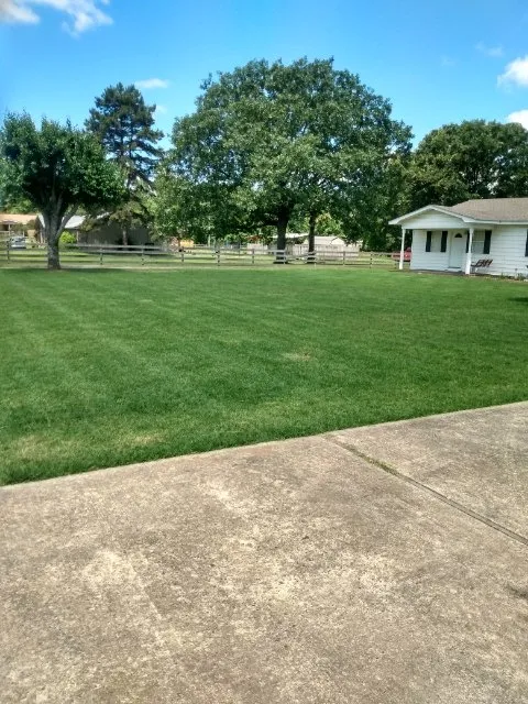 Professional lawn care service in Hensley, AR - Patterson Lawn Care