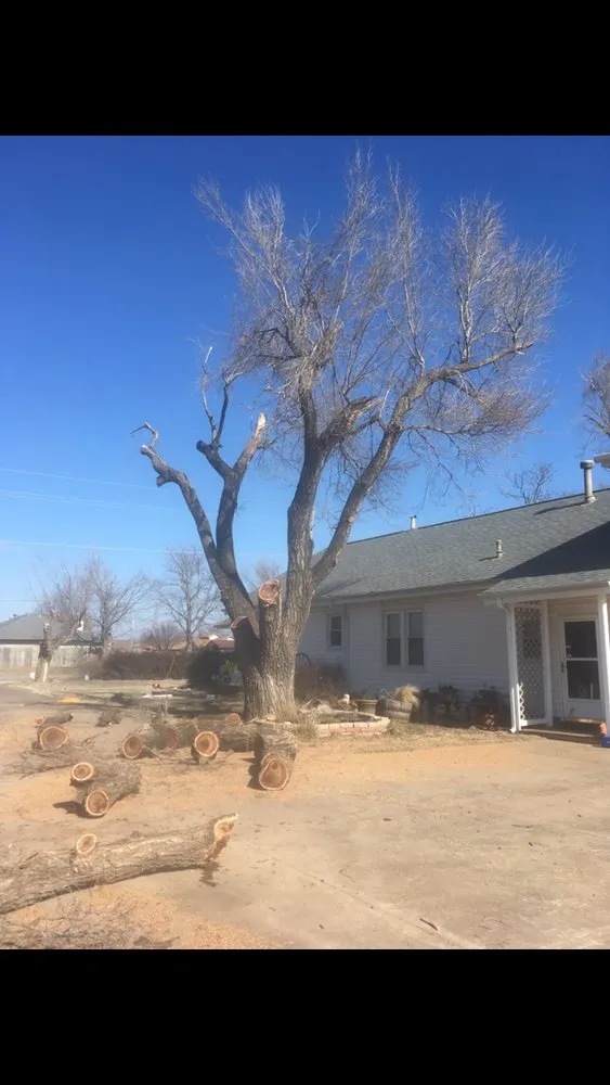 Top-rated yard cleanup service in Enid, OK by Patterson Tree Service