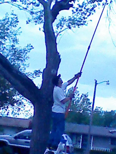 Custom residential landscaping for residential properties across Enid, OK - Patterson Tree Service