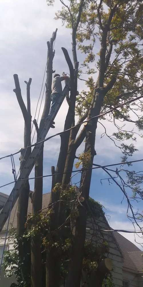 Custom garden landscaping for outdoor upgrades in Enid, OK by Patterson Tree Service