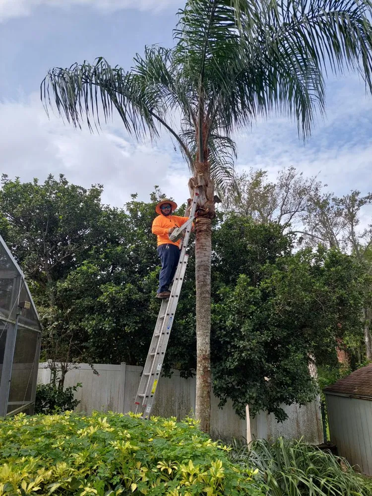 Reliable lawn care service in Heathrow, FL - Patterson’s Landscaping