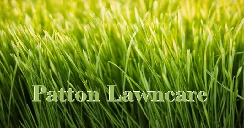 Local landscaping services for outdoor upgrades across Silver Spring, MD - Patton Lawncare