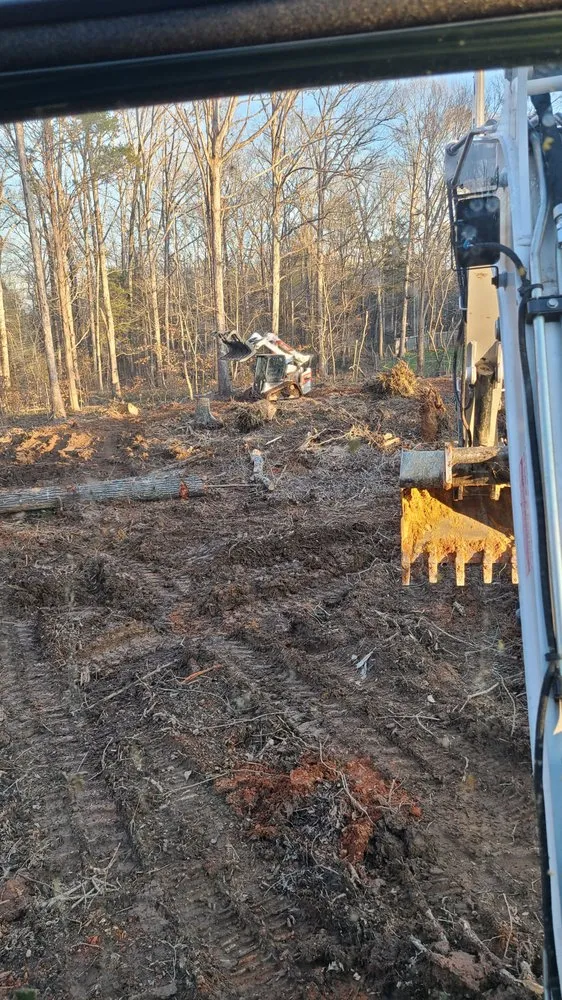 Reliable residential landscaping experts serving Midland, NC - Patton Tree & Landscaping