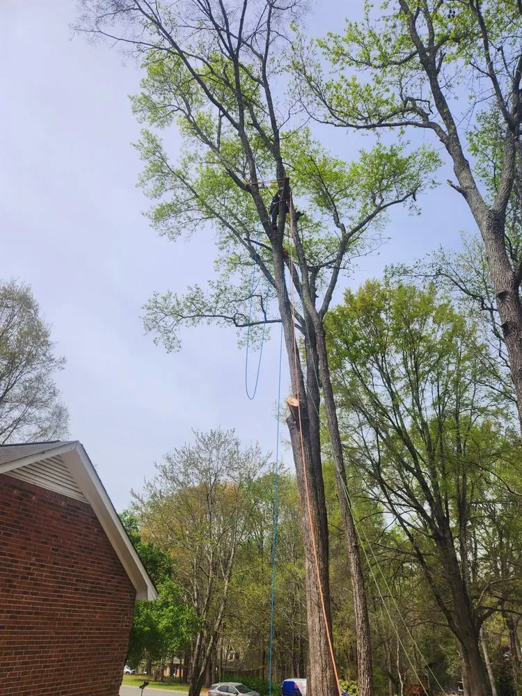 Trusted garden landscaping near you in Midland, NC by Patton Tree & Landscaping