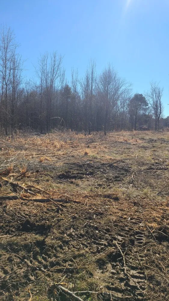 Trusted garden landscaping experts serving Midland, NC - Patton Tree & Landscaping