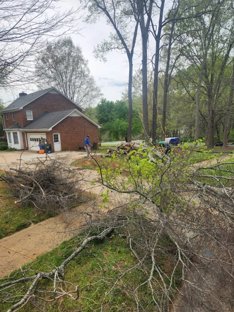 Top-rated residential landscaping in Midland, NC by Patton Tree & Landscaping