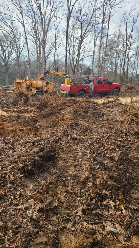 Reliable lawn care service in Midland, NC - Patton Tree & Landscaping