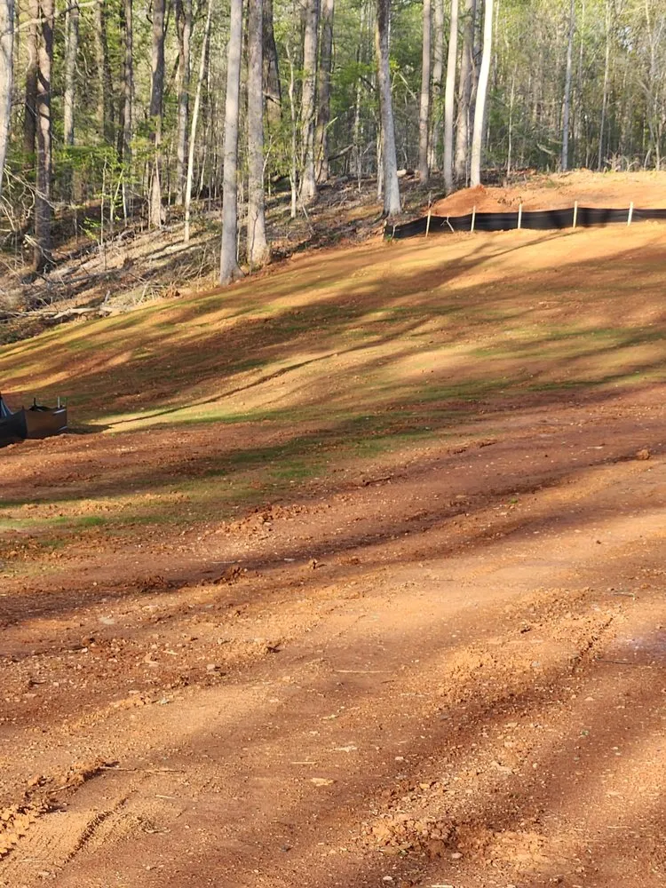 Trusted lawn care service for year-round maintenance in Midland, NC by Patton Tree & Landscaping