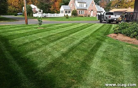 Professional yard maintenance with custom design across Knoxville, TN - Patton's Landscaping