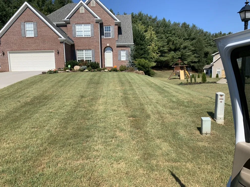 Affordable yard cleanup service for residential properties across Knoxville, TN - Patton's Landscaping