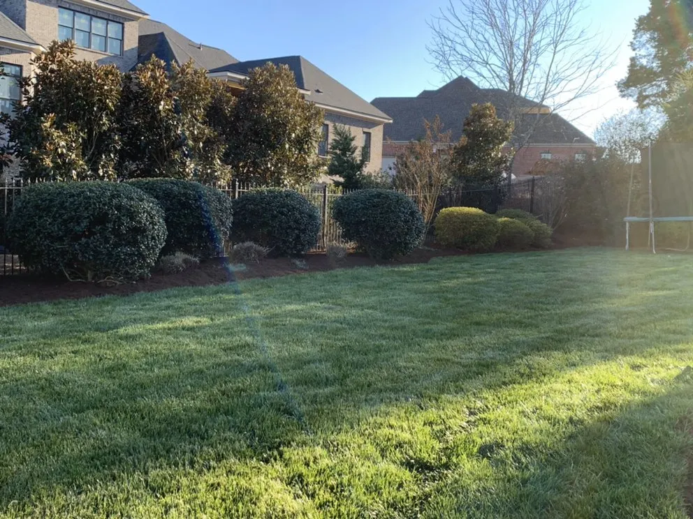 Professional yard cleanup service in Knoxville, TN - Patton's Landscaping