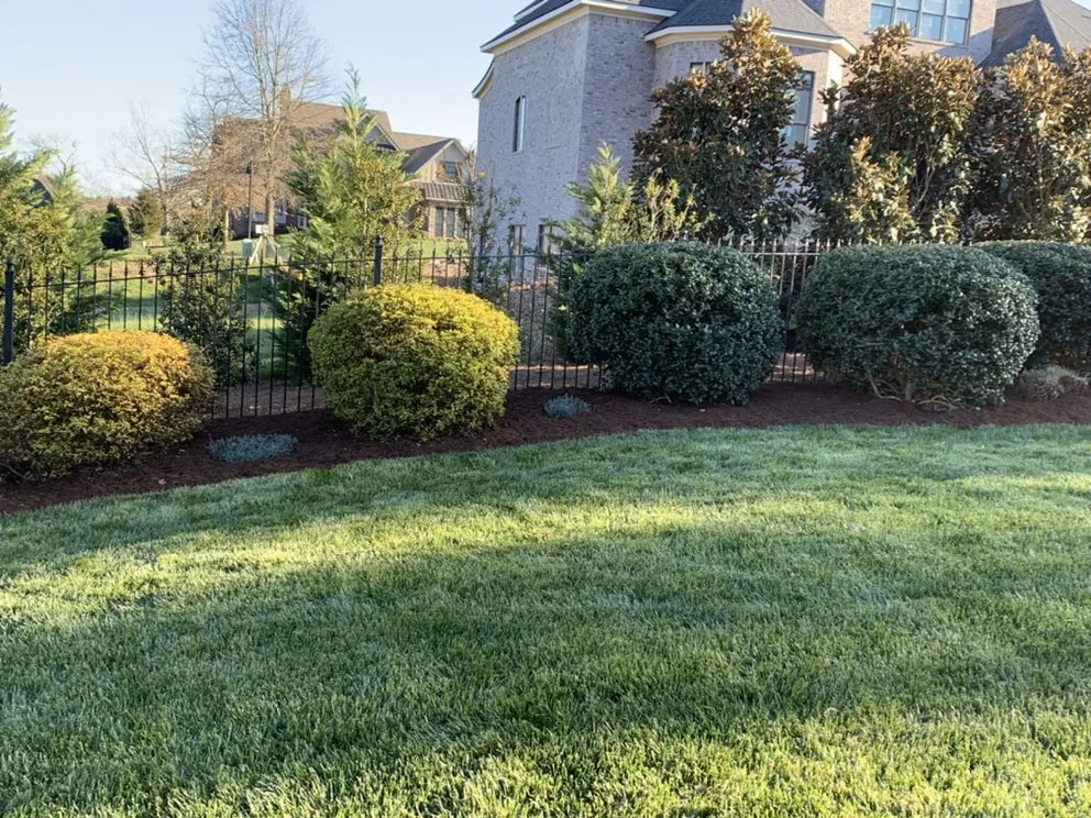 Reliable landscape installation experts serving Knoxville, TN - Patton's Landscaping