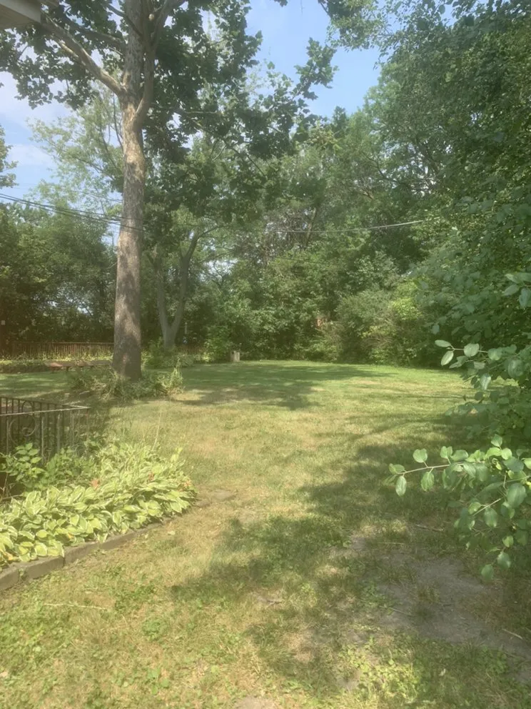 Affordable landscaping services near you across Country Club Hills, IL - Patton’s Lawn Care