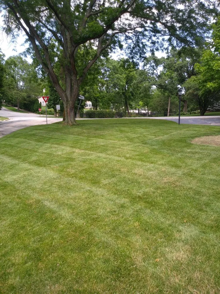 Professional landscape design for residential properties across Country Club Hills, IL - Patton’s Lawn Care